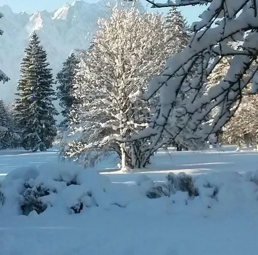 Koenigsstand * Garmisch-Partenkirchen